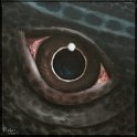 Augenblick eines Warans II Acryl auf Leinwand;
30 x 30 cm
